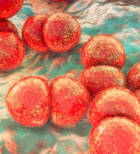 דלקת קרום הלב - כמה זה באמת מסוכן?-תמונה